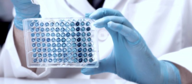 focus_forming_assay_ffa - 001